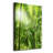 The Rainforest - Wrapped Canvas Print
