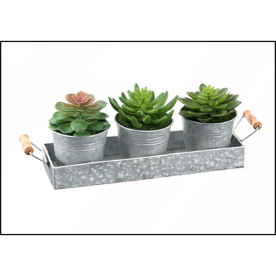 Ensemble de 3 plantes succulentes artificielles en pots métalliques argentés, parfait pour une décoration de table moderne et une verdure nécessitant peu d'entretien.