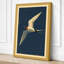 Tern in Flight Coastal - Wrapped Canvas-1520753363-1520753364