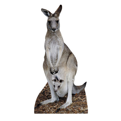 Kangaroo Cardboard Standup
