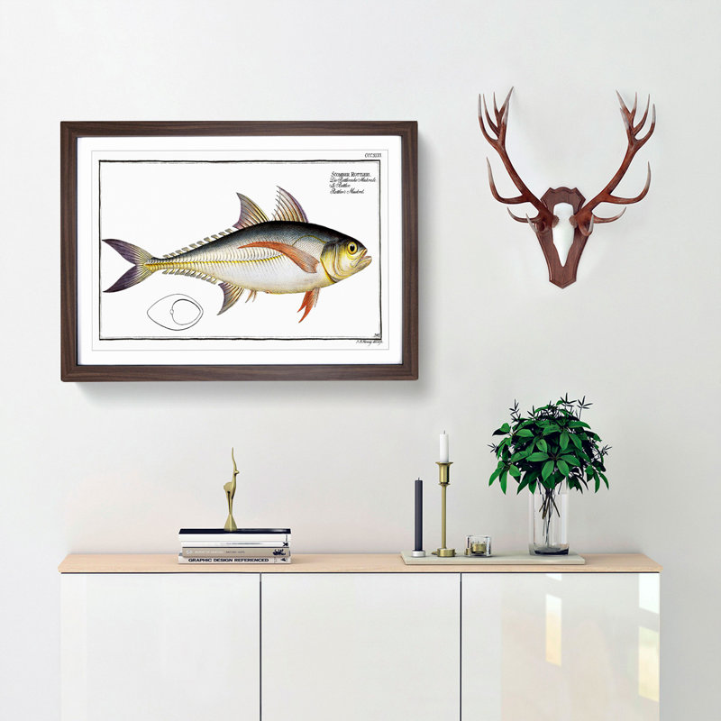 Rottler's Mackerel Fish by M.E. Bloch - Picture Frame Graphic Art Print, 35cm H x 50cm W x 2cm D, Walnut