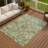 Machine Washable Indoor/Outdoor Jadiel ACN2356 Traditional Rug-878219673