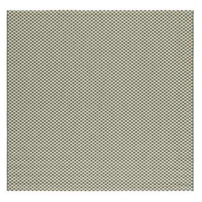 Kalana Performance Indoor/Outdoor Area Rug