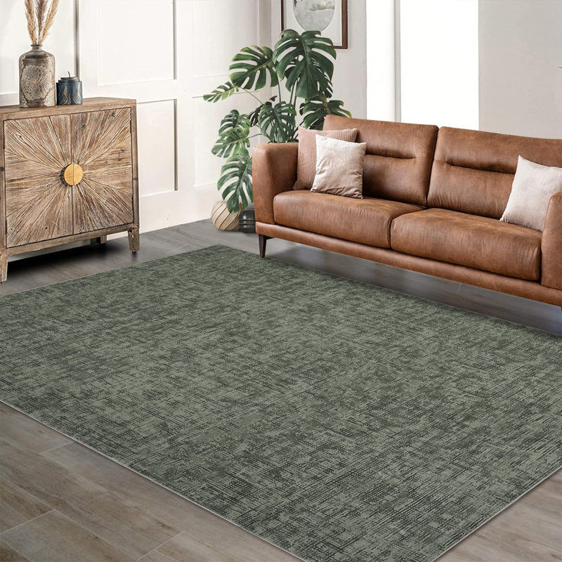 Machine Washable Rug Area Rug Living Room Rugs Large Abstract Modern Soft Non Slip Carpet Indoor Thin Low Pile Carpets for Bedroom Under Dining Room Home Office Farmhouse Decor