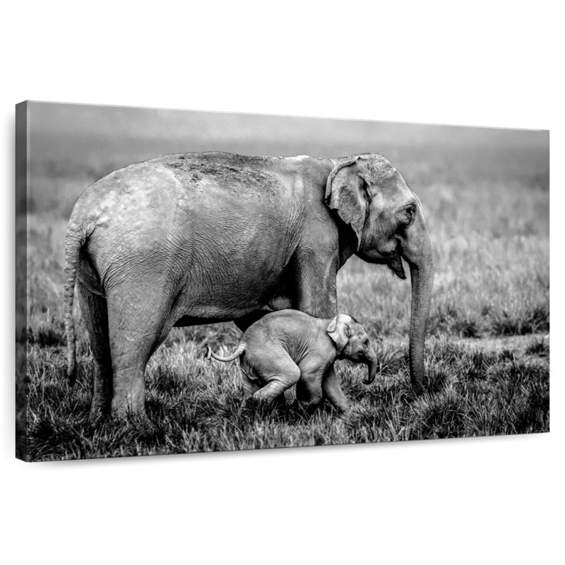 Brampt Elephant And Its Young In Assam, 30" H x 45" W