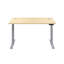 Bouton Adjustable Metal Base Standing Desk-656411956-639665721-656821100