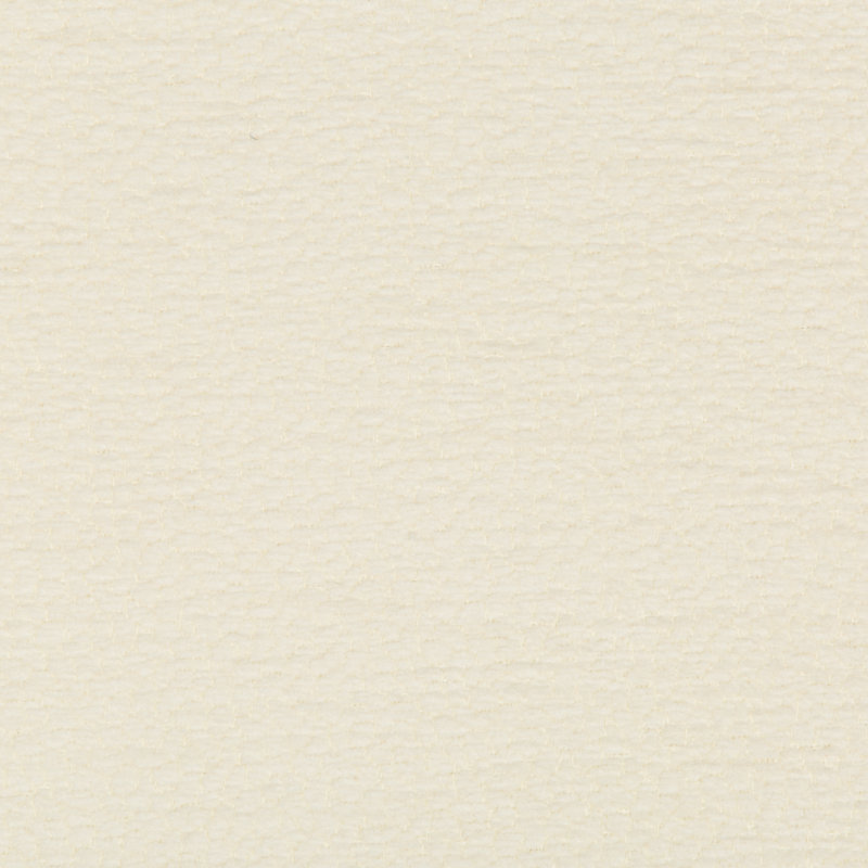 Performance Crypton Home Chenille Fabric, White