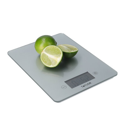 Taylor Pro Digital Scale