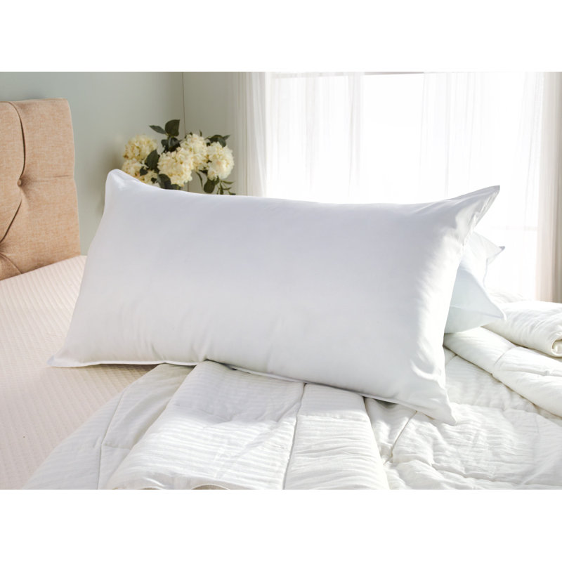 Wayfair Sleep™ Polyester Plush Pillow, Queen/Standard Pillow: 20" x 30"