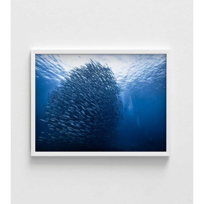 «Massive Fish School», art de l'océan