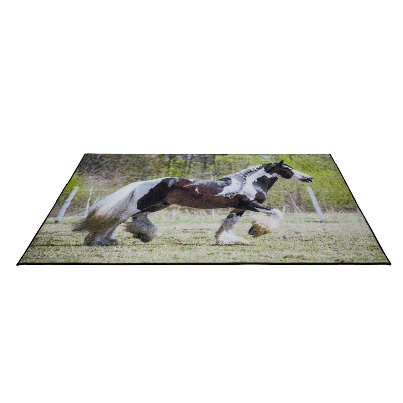 Banjarbaru Animal Print Area Rug, Rectangle 160 x 230 cm