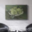 "Reproduction botanique rétro-Lxxxvii" sur toile-853922600