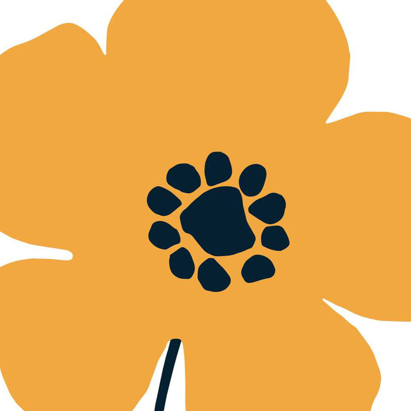 Pop Art Floral I par Wild Apple Portfolio - peinture sur toile tendue, H 12 po x l 12 po x P 1,25 po