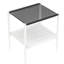 2 tables de bout en verre trempé gris, l 19,1 po x l 15,73 po x H 20,59 po, 110 lb, table gracieuse de style moderne 2, et élégante pour le salon-118020667-118020660