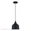 Luminaire suspendu Catrinia-121436243