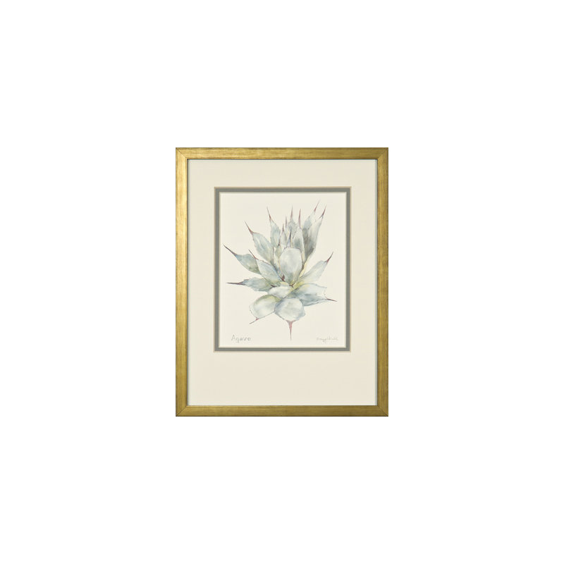 Agave par Daughdrill - peinture encadrée