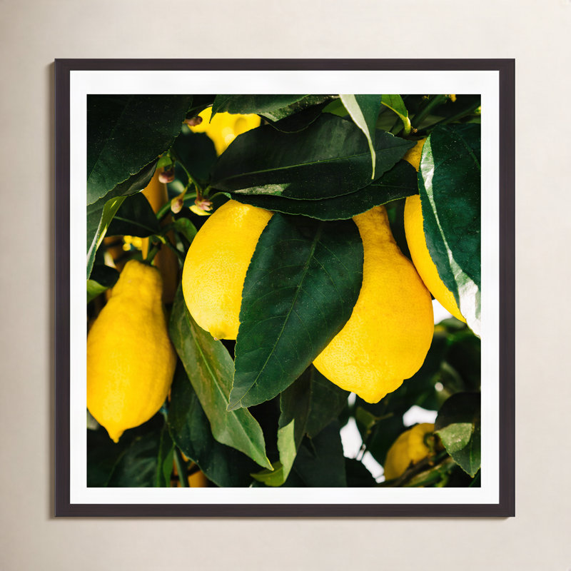 Citrons de la côte d'Amalfi, H 12 po x l 12 po x P 2 po, Cadre flottant espresso, Non