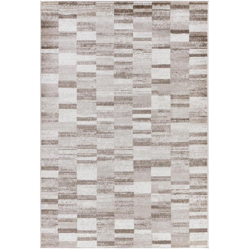 Jayken Checkered Indoor Rug, Rectangle 5'3" x 7'3"