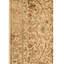 Wool Oriental Area Rug