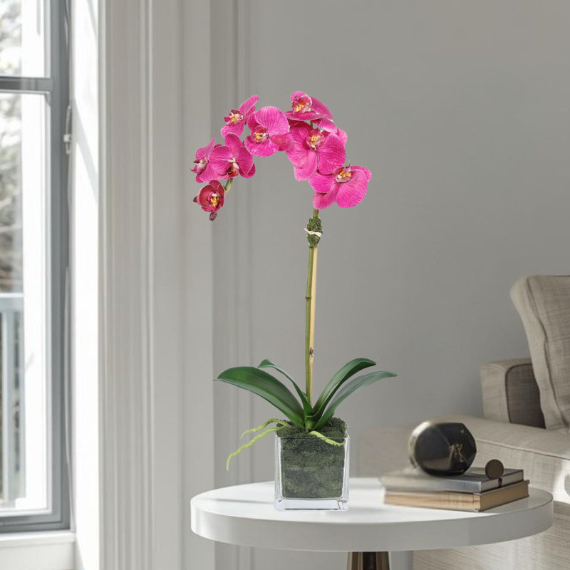 Orchid Arrangement In Square Glass Vase, Pink