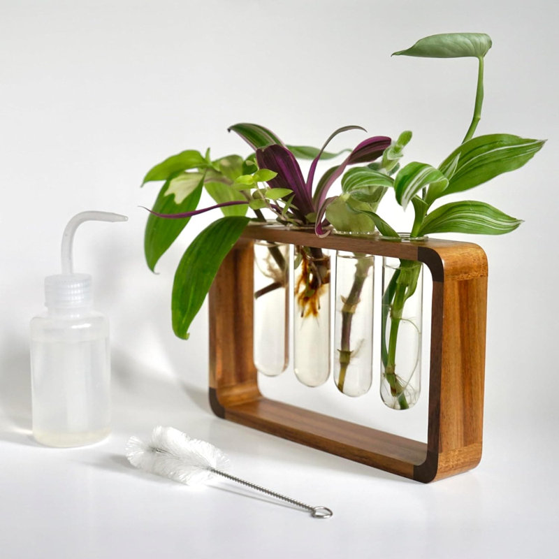 Station de propagation de plantes avec support en bois d'acacia et 4 tubes à essai en verre pour le ramassage hydroponique et le décor de table