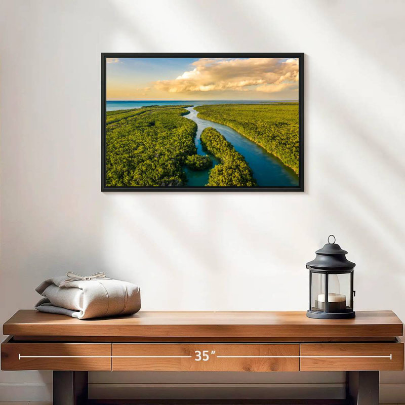 Parc national des Everglades, 19 po x 13 po, Cadre flottant noir