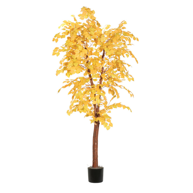 Série artificielle Golden Aspen, H 48 po x l 28 po x P 28 po, Noir