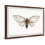 Tan Butterfly - Single Picture Frame Painting-884282763