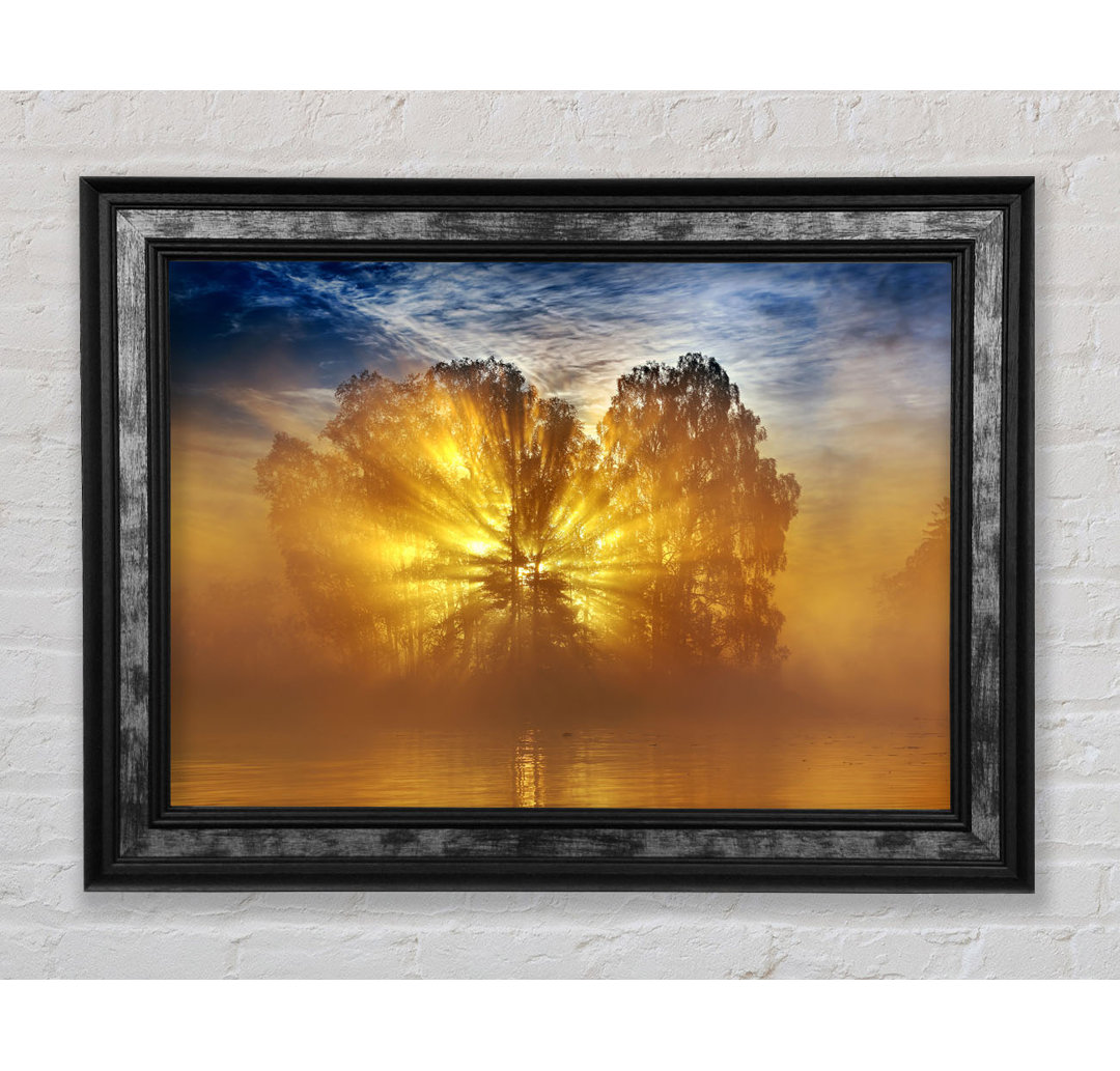 Golden Sunburst Tree Gerahmter Druck