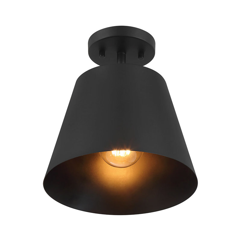 Oneeda 1-Light Ceiling Light in Matte Black, Matte Black