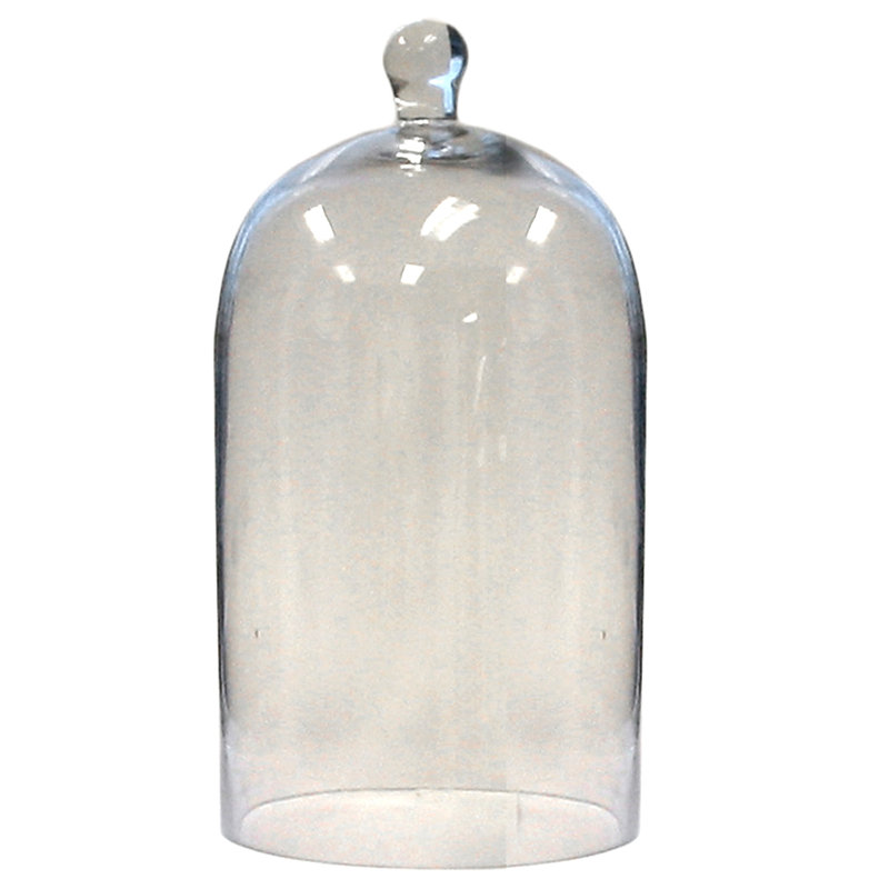 Baines Glass Dome, 13" H x 7" W x 7" D