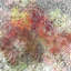Film pour fenêtre Glassy Petals Design-773305703