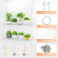 Plant Stand