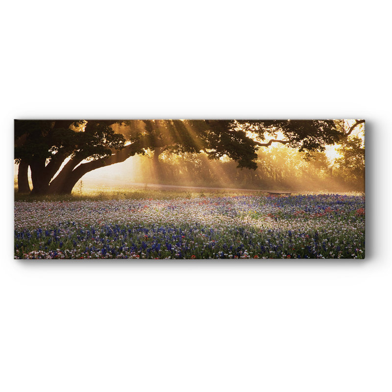 " Morning Meadow ", 20" H x 50" W x 1.5" D