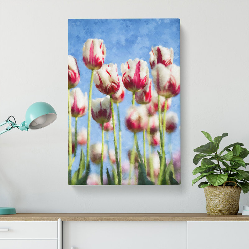 Pink And White Tulip Flowers - Wrapped Canvas, 91cm H x 60cm W x 3cm D