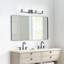 Haines 4 Light Transparent Dimmable Vanity Light-158064468