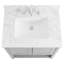 Sheraton 30" Freestanding Standard Single Bathroom Vanity with Top-1384541422-1384974699