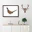 Pheasant Bird in Winter - Framed Print-56704609-56704613