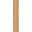 Sapin Douglas-114073892-109296146