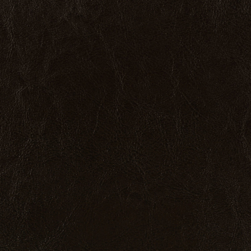 Dorian Upholstered King Panel Bed Brown, Twin, Brown