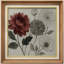 Arrangement floral rouge et multicolore - impression sur papier encadrée-602945292-602945291