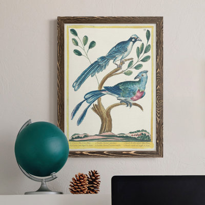 Toile encadrée Pastel Birds VI Premium - prête à être accrochée