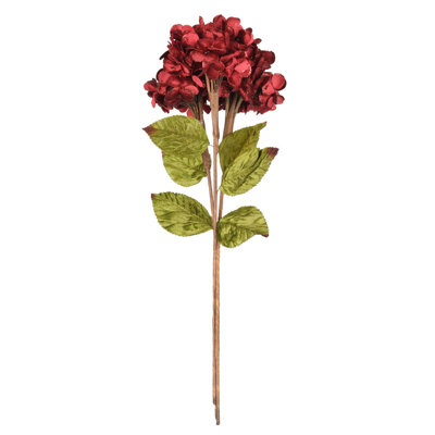 Tige d'hortensia Vickerman