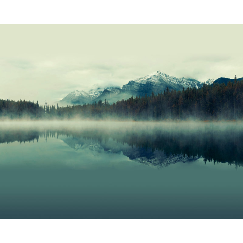 Suat Matte Wall Mural, 280 cm L x 350 cm W