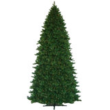 Grand Teton 12' H Lighted Artificial Pine Christmas Tree