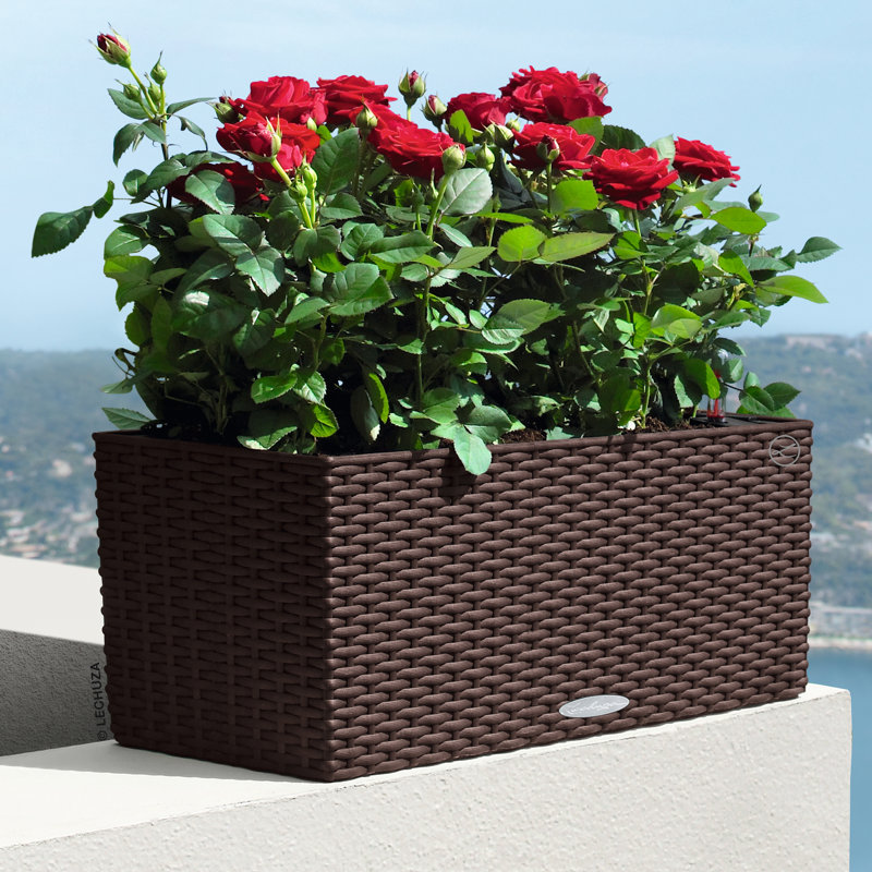 Balconera Window Box Planter, 19 cm H x 50 cm W x 19 cm D, Mocha