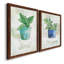 Basilic en pot - ensemble de 2 peintures sur toile encadrées-864886438-864886439