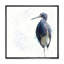 Héron tricolore - peinture sur toile-59761643-59761646