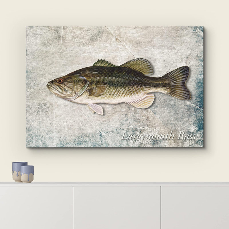 Fish " Largemouth Bass Fish On Granite Background Marine Life ", 16'' H x 24'' W, Wrapped Canvas