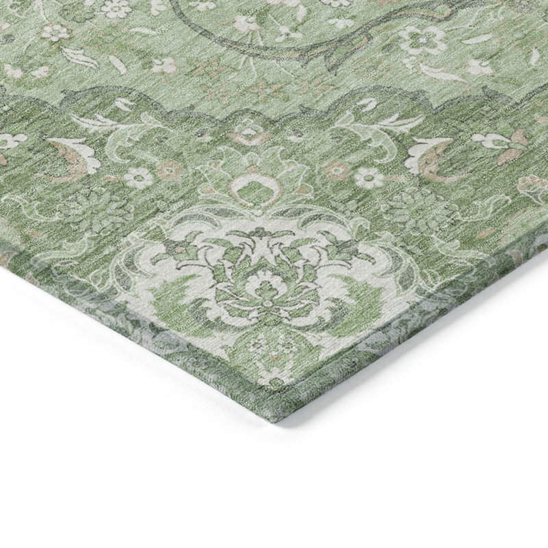 Machine Washable Indoor/Outdoor Claudian ACN1677 Aloe Rug, Rectangle 3' x 5'